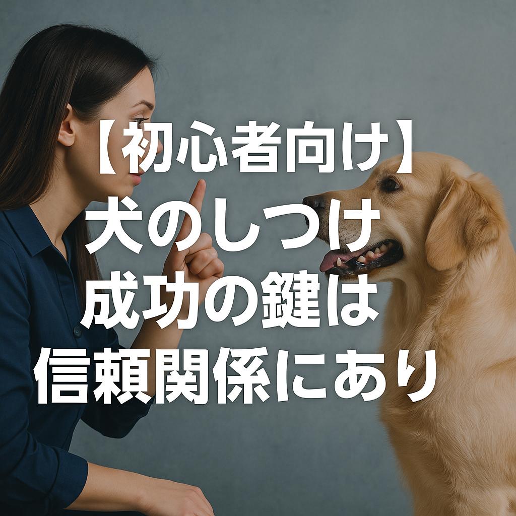 【初心者向け】犬のしつけ成功の鍵は信頼関係にあり