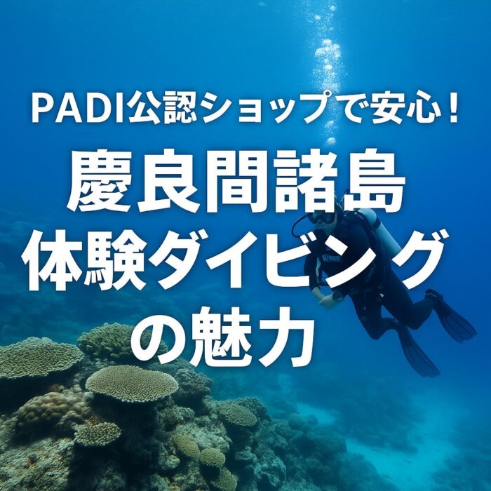 PADI公認ショップで安心！慶良間諸島体験ダイビングの魅力