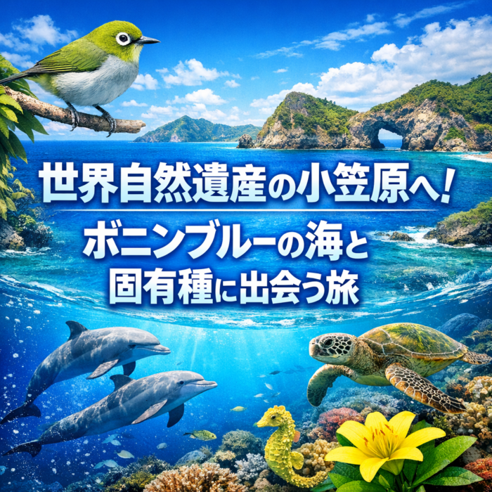 世界自然遺産の小笠原へ！ボニンブルーの海と固有種に出会う旅